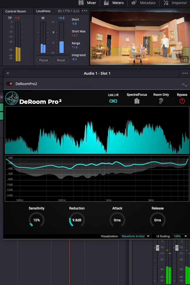DeRoom Pro 2 by Accentize