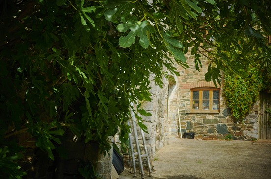 Middle Farm Studios photo gallery